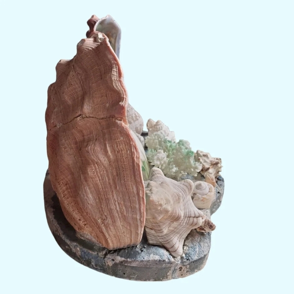 Large vintage seashell diorama / TV lamp - Picture 6 of 7